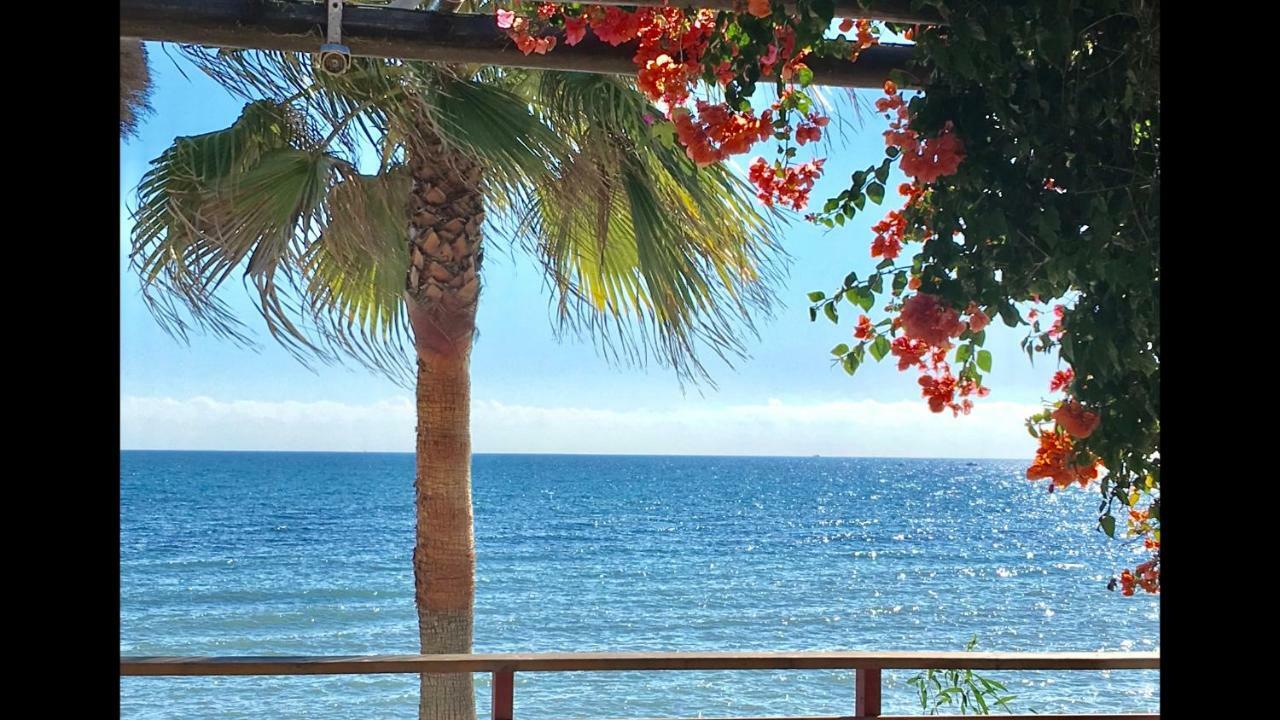 Mi Capricho 2D Beachfront- Apartment With Sea View - Costa Del Sol Sitio de Calahonda ภายนอก รูปภาพ